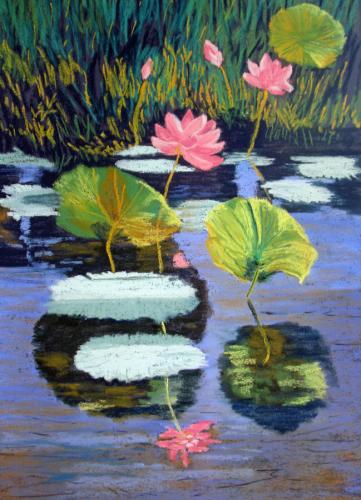 Water Lillies 2